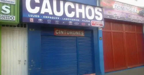CAUCHOS 7 DE AGOSTO H J G CAUCHOS 7 DE AGOSTO H J G